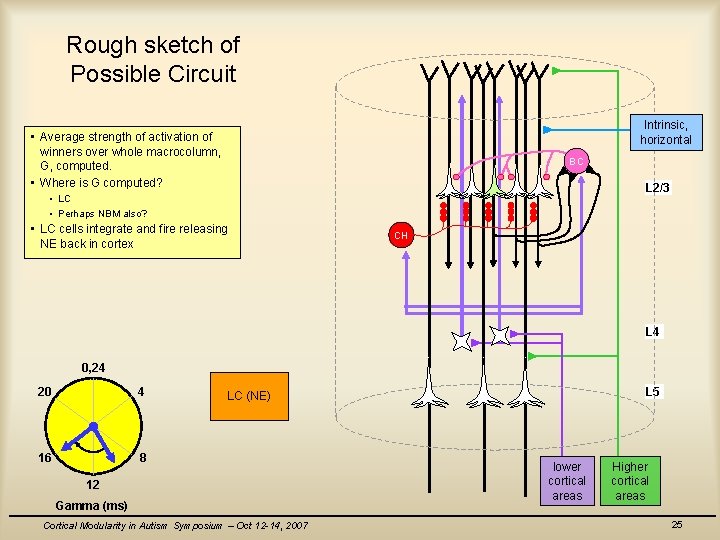 Rough sketch of Possible Circuit Intrinsic, horizontal • Average strength of activation of winners