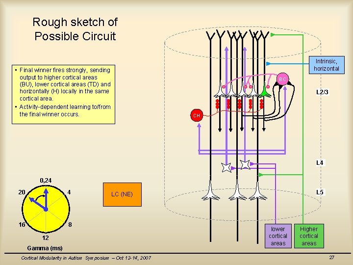 Rough sketch of Possible Circuit Intrinsic, horizontal • Final winner fires strongly, sending output