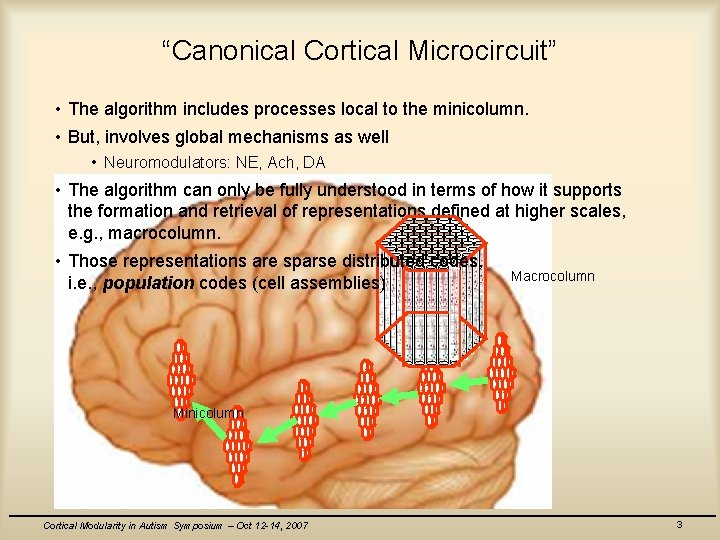 “Canonical Cortical Microcircuit” • The algorithm includes processes local to the minicolumn. • But,