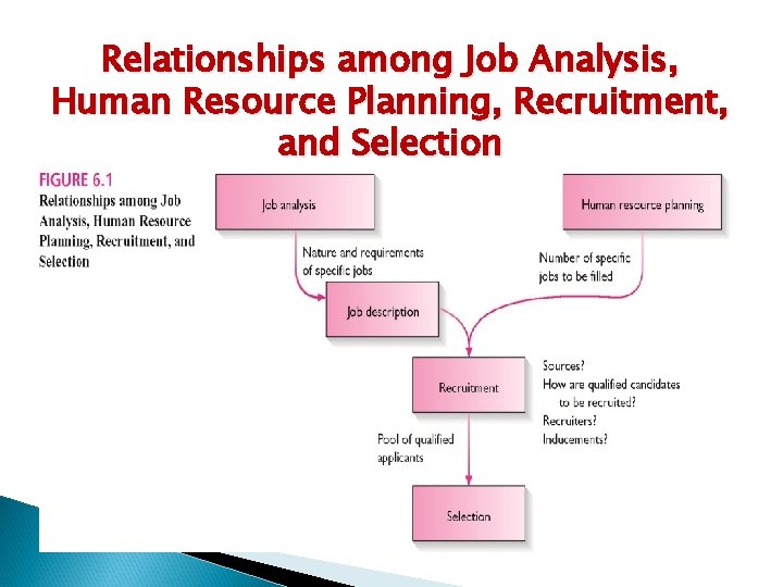 Relationships among Job Analysis, Human Resource Planning, Recruitment, and Selection 