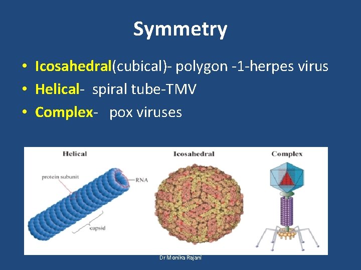 Symmetry • Icosahedral(cubical)- polygon -1 -herpes virus • Helical- spiral tube-TMV • Complex- pox