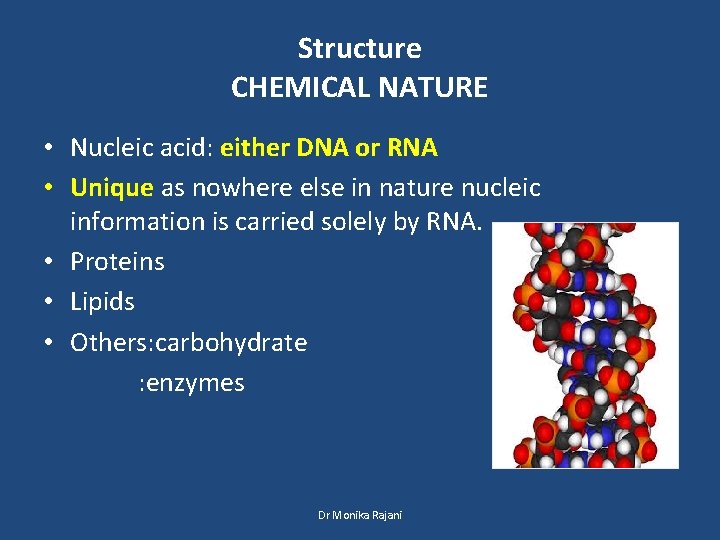Structure CHEMICAL NATURE • Nucleic acid: either DNA or RNA • Unique as nowhere