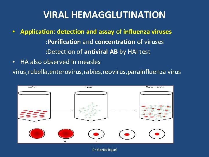 VIRAL HEMAGGLUTINATION • Application: detection and assay of influenza viruses : Purification and concentration