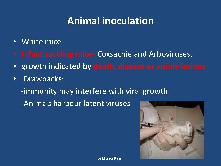 Animal inoculation • • White mice Infant suckling mice- Coxsachie and Arboviruses. growth indicated