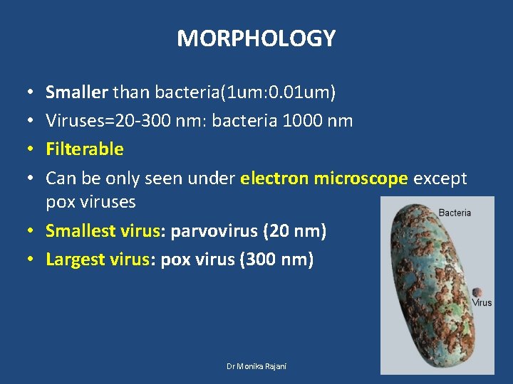 MORPHOLOGY Smaller than bacteria(1 um: 0. 01 um) Viruses=20 -300 nm: bacteria 1000 nm