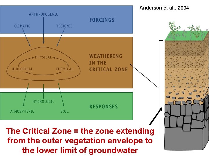 Anderson et al. , 2004 The Critical Zone = the zone extending from the
