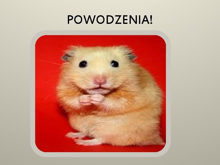 POWODZENIA! 