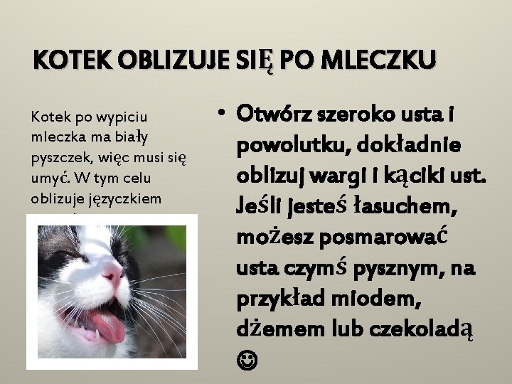 KOTEK OBLIZUJE SIĘ PO MLECZKU Kotek po wypiciu mleczka ma biały pyszczek, więc musi