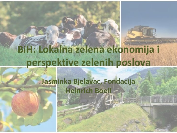 Bi. H: Lokalna zelena ekonomija i perspektive zelenih poslova Jasminka Bjelavac, Fondacija Heinrich Boell