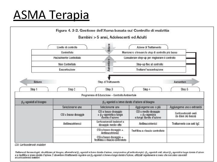 ASMA Terapia 