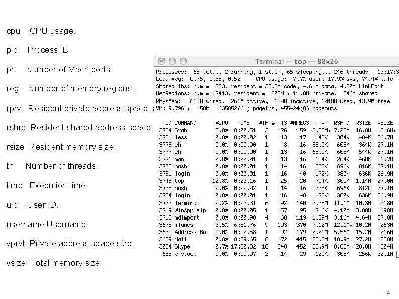 cpu CPU usage. pid Process ID prt Number of Mach ports. reg Number of