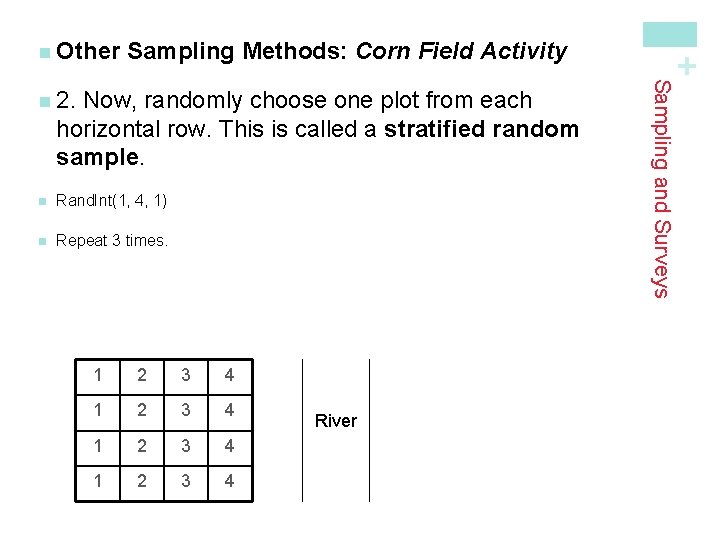 Sampling Methods: Corn Field Activity Now, randomly choose one plot from each horizontal row. Sampling Methods: Corn Field Activity Now, randomly choose one plot from each horizontal row.
