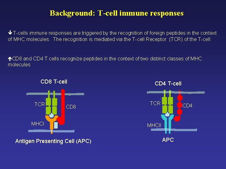 Computeraided Design Of Tcell Epitope Vaccines Pedro Antonio