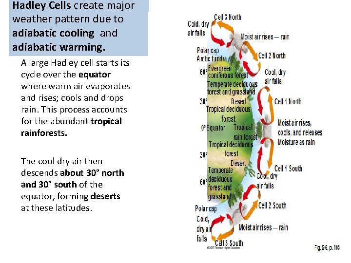 Hadley Cells create major weather pattern due to adiabatic cooling and adiabatic warming. A