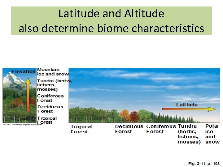 Latitude and Altitude also determine biome characteristics 