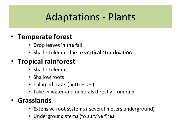 Adaptations - Plants • Temperate forest • Drop leaves in the fall • Shade-tolerant