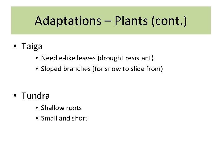 Adaptations – Plants (cont. ) • Taiga • Needle-like leaves (drought resistant) • Sloped