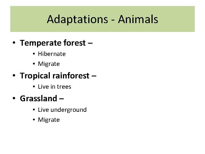 Adaptations - Animals • Temperate forest – • Hibernate • Migrate • Tropical rainforest