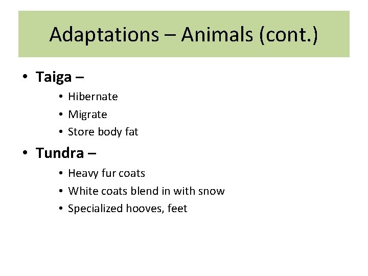 Adaptations – Animals (cont. ) • Taiga – • Hibernate • Migrate • Store