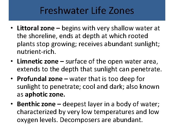 Freshwater Life Zones • Littoral zone – begins with very shallow water at the