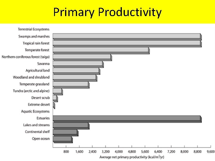 Primary Productivity 