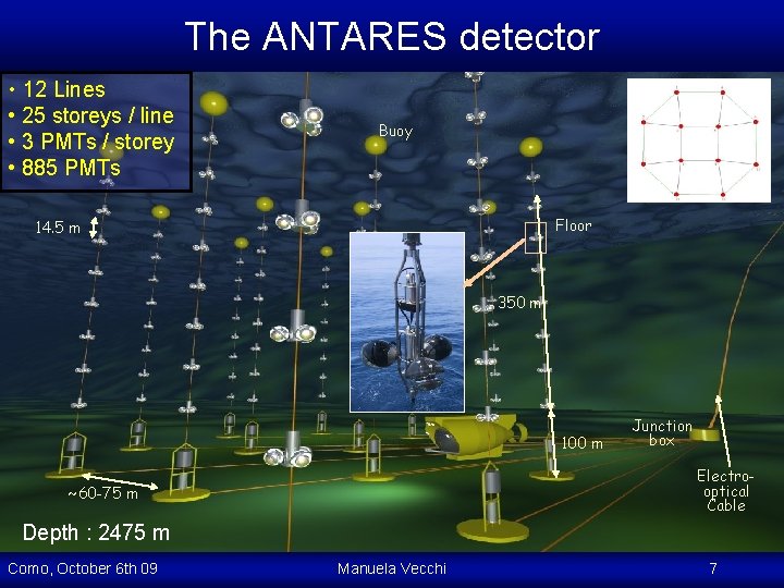 The ANTARES detector • 12 Lines • 25 storeys / line • 3 PMTs The ANTARES detector • 12 Lines • 25 storeys / line • 3 PMTs