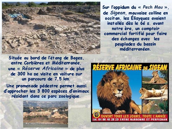 Sur l’oppidum du « Pech Mau » , de Sigean, mauvaise colline en occitan,