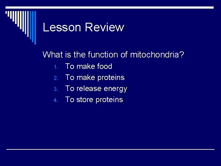 Lesson Review What is the function of mitochondria? 1. 2. 3. 4. To make