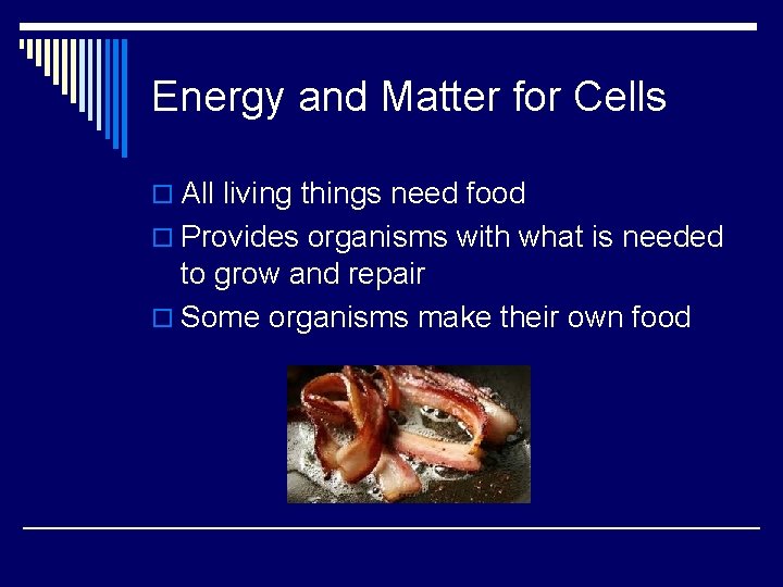 Energy and Matter for Cells o All living things need food o Provides organisms
