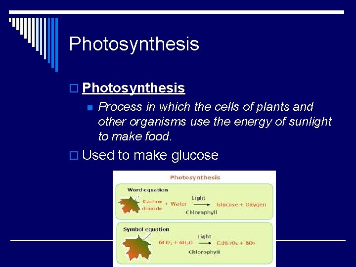 Photosynthesis o Photosynthesis n Process in which the cells of plants and other organisms