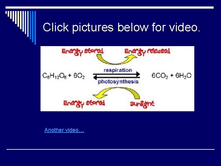 Click pictures below for video. Another video… 