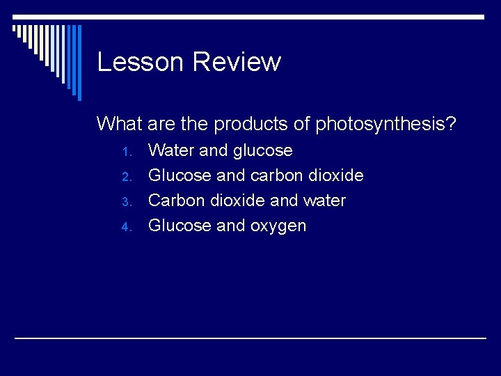 Lesson Review What are the products of photosynthesis? 1. 2. 3. 4. Water and