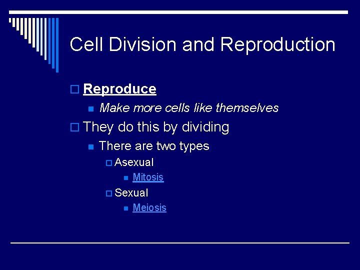 Cell Division and Reproduction o Reproduce n Make more cells like themselves o They