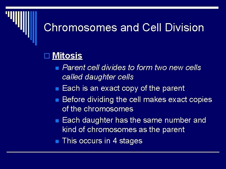 Chromosomes and Cell Division o Mitosis n n n Parent cell divides to form