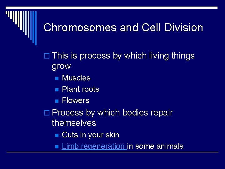 Chromosomes and Cell Division o This is process by which living things grow n