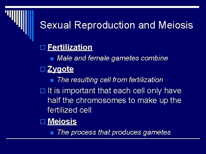 Sexual Reproduction and Meiosis o Fertilization n Male and female gametes combine o Zygote