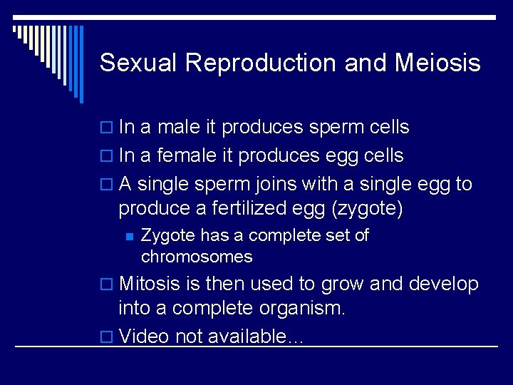 Sexual Reproduction and Meiosis o In a male it produces sperm cells o In