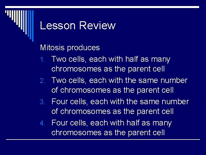 Lesson Review Mitosis produces 1. Two cells, each with half as many chromosomes as