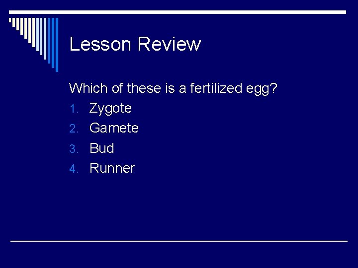 Lesson Review Which of these is a fertilized egg? 1. Zygote 2. Gamete 3.