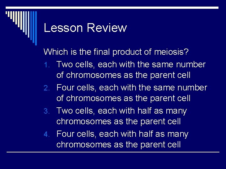 Lesson Review Which is the final product of meiosis? 1. Two cells, each with