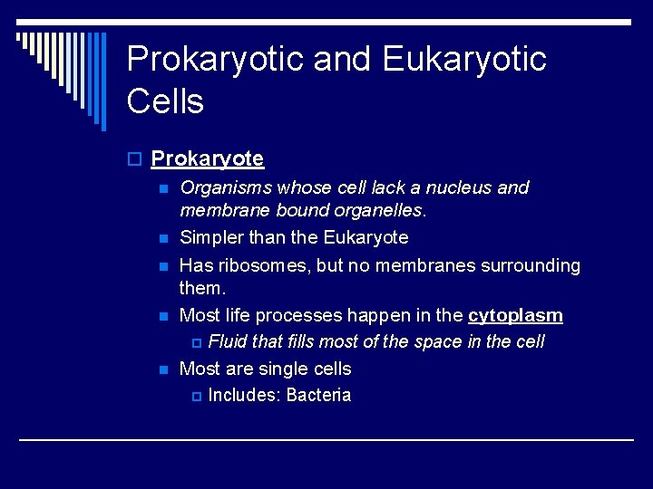 Prokaryotic and Eukaryotic Cells o Prokaryote n Organisms whose cell lack a nucleus and