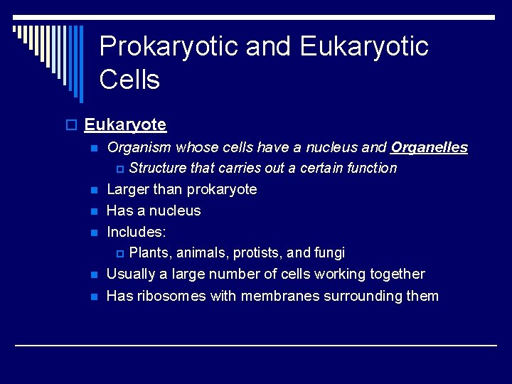Prokaryotic and Eukaryotic Cells o Eukaryote n Organism whose cells have a nucleus and