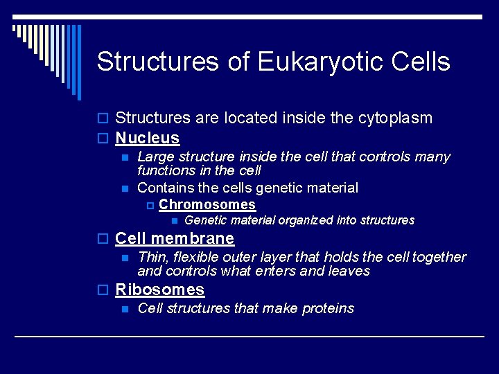 Structures of Eukaryotic Cells o Structures are located inside the cytoplasm o Nucleus n