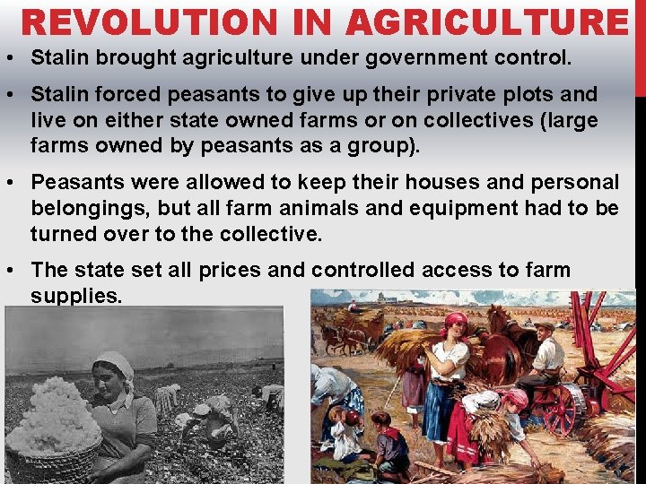 REVOLUTION IN AGRICULTURE • Stalin brought agriculture under government control. • Stalin forced peasants