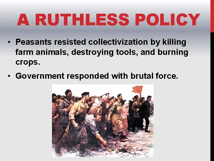 A RUTHLESS POLICY • Peasants resisted collectivization by killing farm animals, destroying tools, and