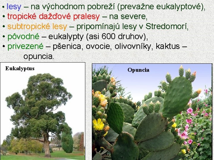  • lesy – na východnom pobreží (prevažne eukalyptové), • tropické dažďové pralesy –