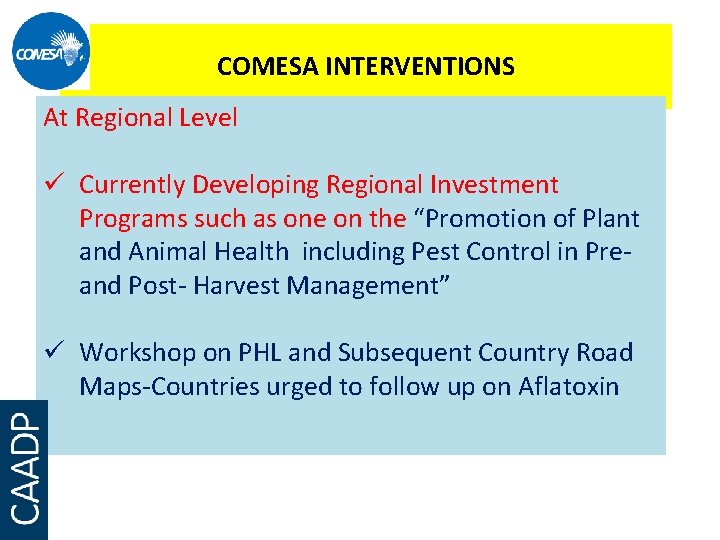 COMESA INTERVENTIONS At Regional Level ü Currently Developing Regional Investment Programs such as one