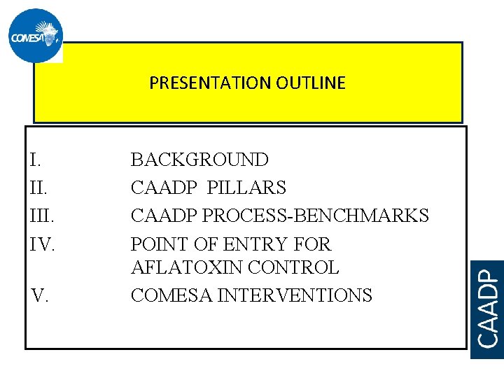 PRESENTATION OUTLINE I. III. IV. V. BACKGROUND CAADP PILLARS CAADP PROCESS-BENCHMARKS POINT OF ENTRY
