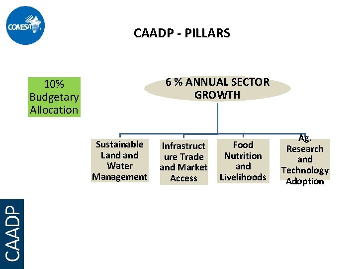 CAADP - PILLARS 6 % ANNUAL SECTOR GROWTH 10% Budgetary Allocation Sustainable Land Water
