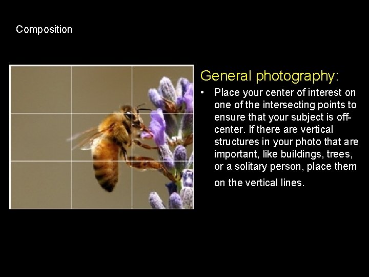 Composition General photography: • Place your center of interest on one of the intersecting